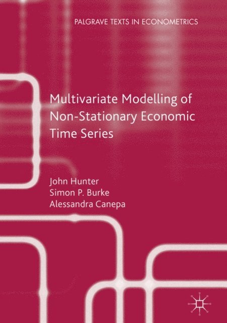 Alessandra Canepa, Simon P. Burke, John Hunter - Multivariate Modelling of Non-Stationary Economic Time Series, E-bok