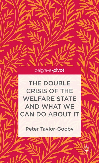 Double Crisis of the Welfare State and What We Can Do About It av P Taylor-Gooby, Peter Taylor-Gooby