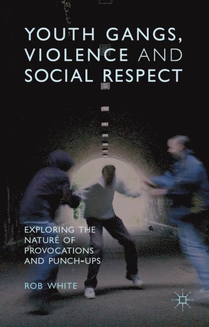 R. White - Youth Gangs, Violence and Social Respect, E-bok