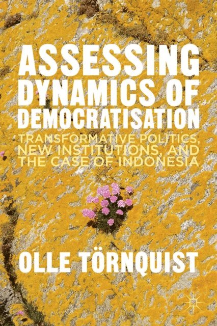 O. Tornquist - Assessing Dynamics of Democratisation, E-bok