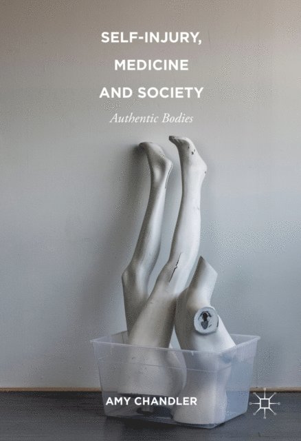 Amy Chandler - Self-Injury, Medicine and Society, E-bok