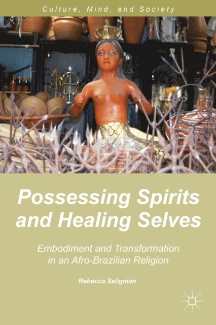 R. Seligman - Possessing Spirits and Healing Selves, E-bok
