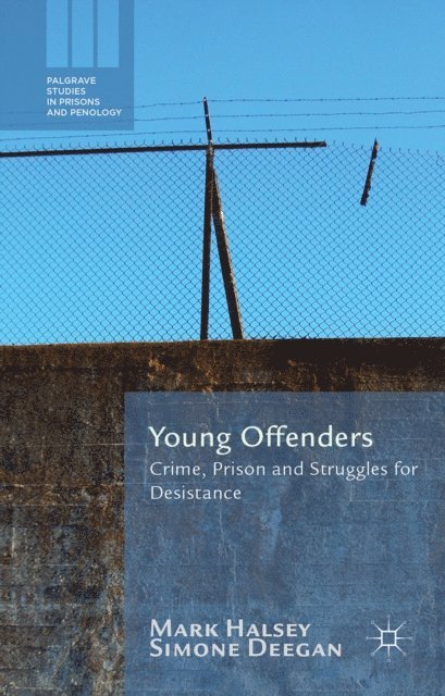 S. Deegan, M. Halsey - Young Offenders, E-bok