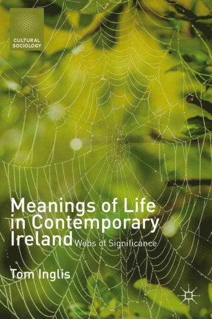 T. Inglis - Meanings of Life in Contemporary Ireland, E-bok