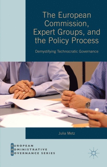 Julia Metz - European Commission, Expert Groups, and the Policy Process, E-bok