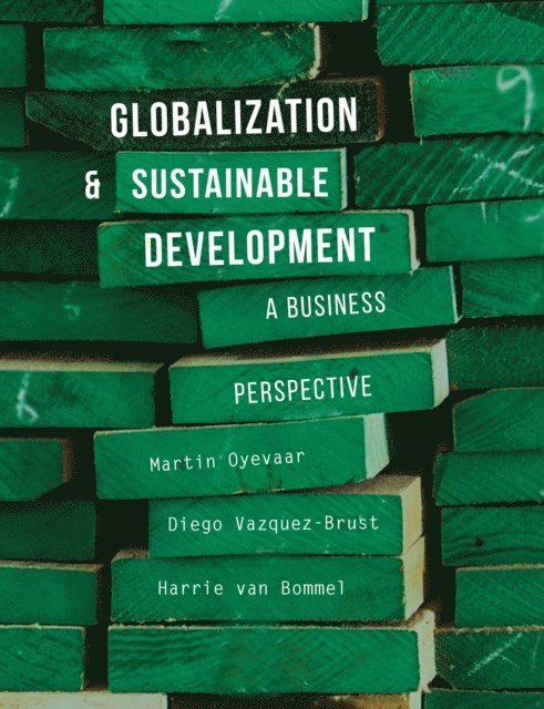 Martin Oyevaar, Diego Vazquez-Brust, Harrie W.M. Van Bommel - Globalization and Sustainable Development, E-bok