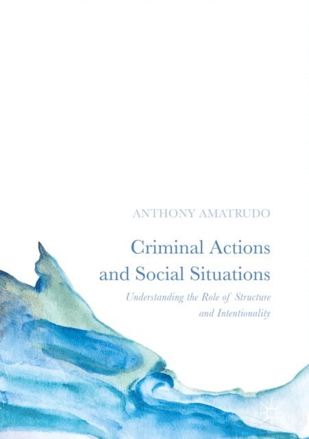Anthony Amatrudo - Criminal Actions and Social Situations, E-bok