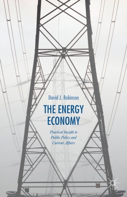 David J. Robinson - Energy Economy, E-bok