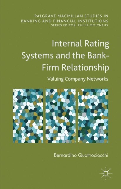 Bernardino Quattrociocchi - Internal Rating Systems and the Bank-Firm Relationship, E-bok