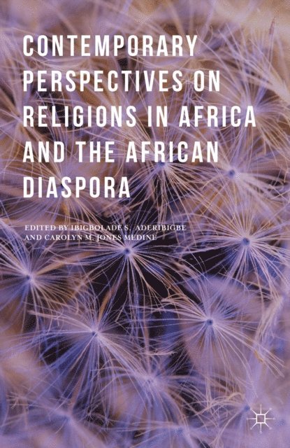 Ibigbolade S. Aderibigbe, Carolyn M. Jones Medine - Contemporary Perspectives on Religions in Africa and the African Diaspora, E-bok