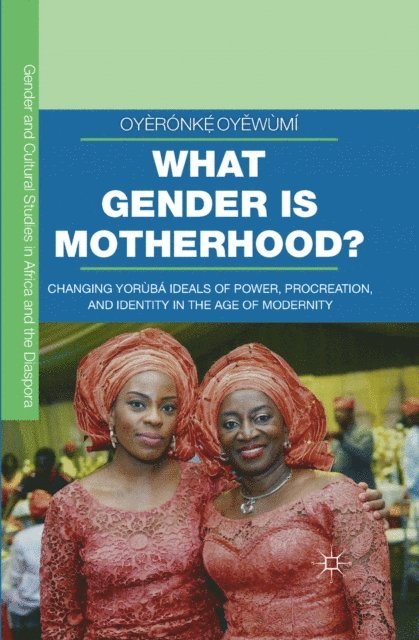 Oyeronke Oyewumi - What Gender is Motherhood?, E-bok