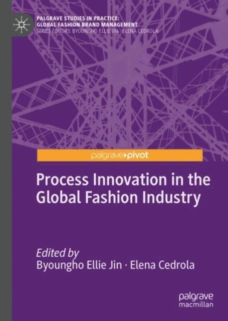 Elena Cedrola, Byoungho Ellie Jin - Process Innovation in the Global Fashion Industry, E-bok