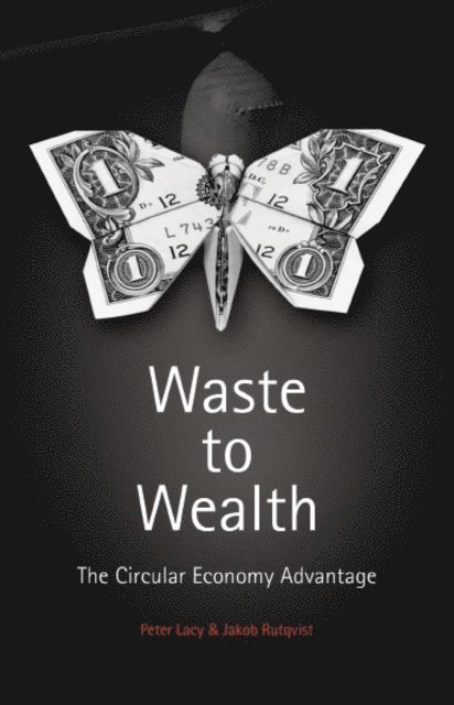 Jakob Rutqvist, Peter Lacy - Waste to Wealth, E-bok