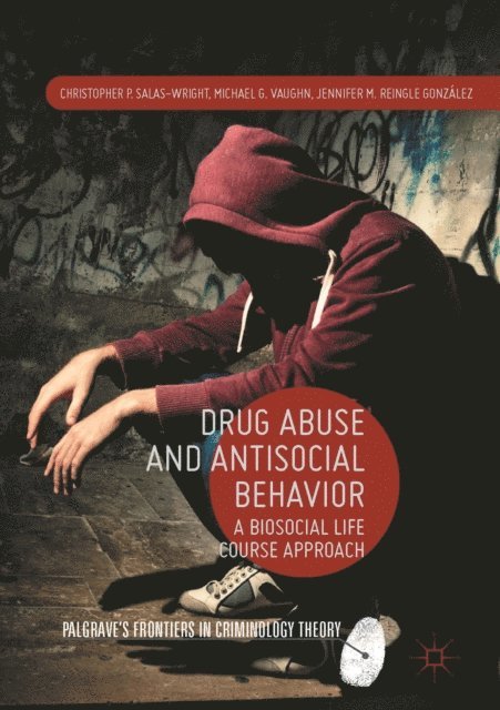 Jennifer M. Reingle Gonzalez, Michael G. Vaughn, Christopher P. Salas-Wright - Drug Abuse and Antisocial Behavior, E-bok