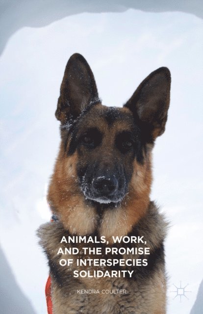 Kendra Coulter - Animals, Work, and the Promise of Interspecies Solidarity, E-bok