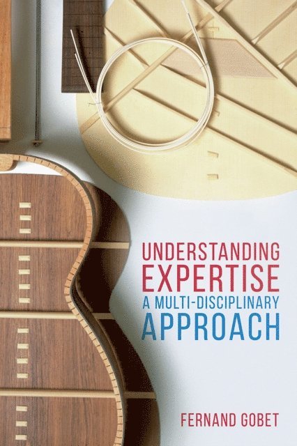 Fernand Gobet - Understanding Expertise, E-bok