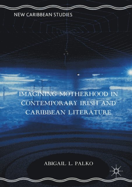 Abigail L. Palko - Imagining Motherhood in Contemporary Irish and Caribbean Literature, E-bok