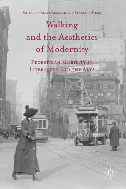 Francois Specq, Klaus Benesch - Walking and the Aesthetics of Modernity, E-bok