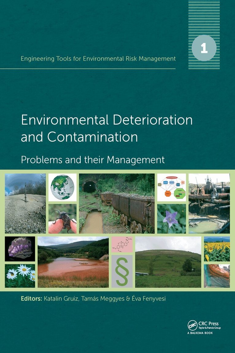 Katalin Gruiz, Tamas Meggyes, Eva Fenyvesi - Engineering Tools for Environmental Risk Management, Inbunden