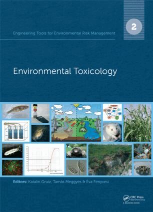 Katalin Gruiz, Tamas Meggyes, Eva Fenyvesi - Engineering Tools for Environmental Risk Management, Inbunden