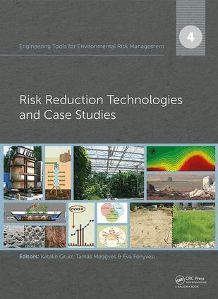 Katalin Gruiz, Tamás Meggyes, Éva Fenyvesi - Engineering Tools for Environmental Risk Management, Inbunden