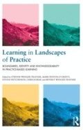 Learning in Landscapes of Practice