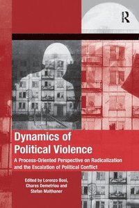 Dynamics of Political Violence