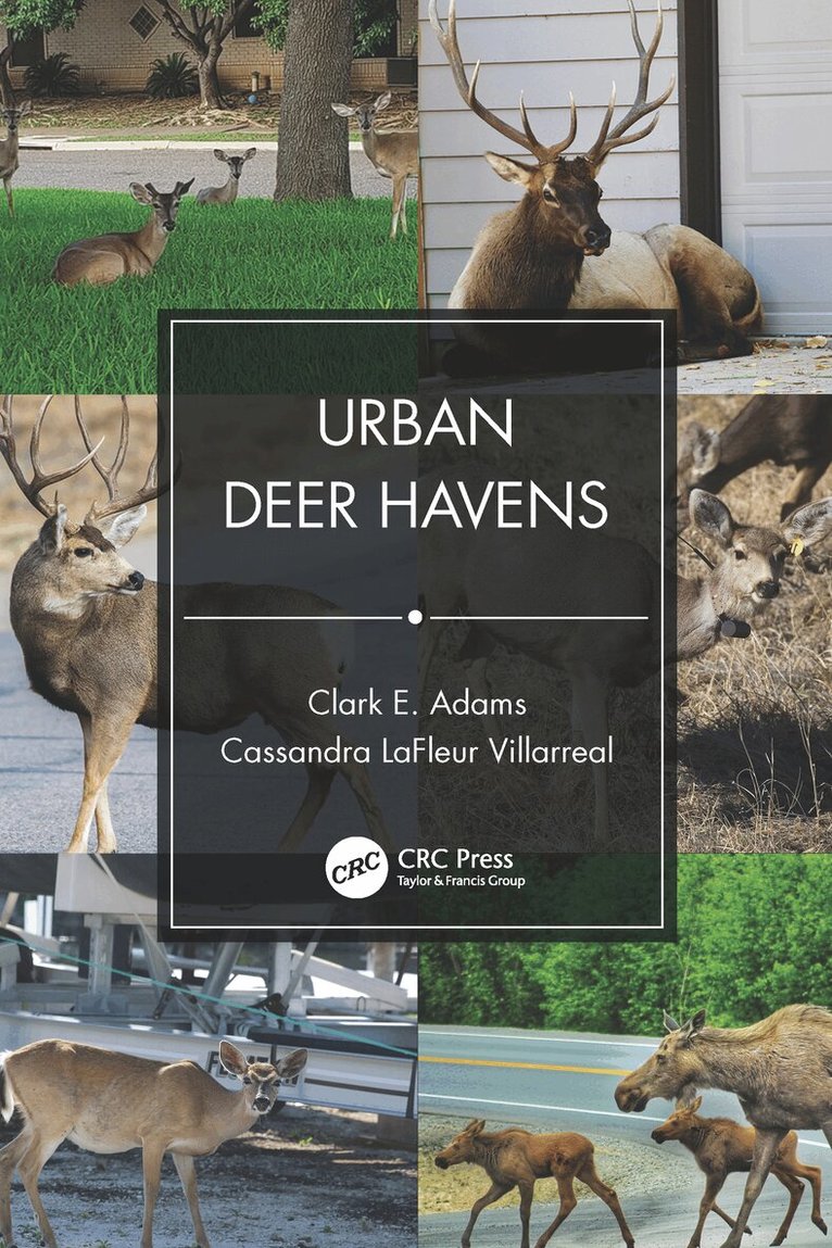 Clark E. Adams, Cassandra LaFleur Villarreal - Urban Deer Havens, Häftad. Tillgänglighet: Lägg i varukorg