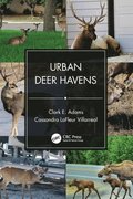 Urban Deer Havens