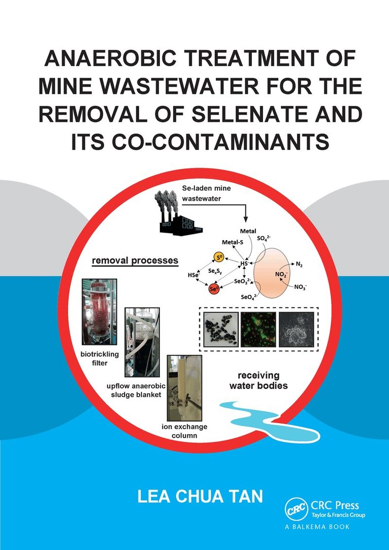 Lea Tan - Anaerobic Treatment of Mine Wastewater for the Removal of Selenate and its Co-Contaminants, Häftad