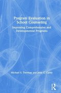 Program Evaluation in School Counseling