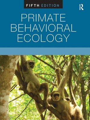 Karen B. Strier - Primate Behavioral Ecology, Inbunden