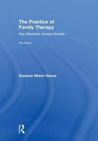 The Practice of Family Therapy