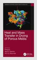 Heat and Mass Transfer in Drying of Porous Media