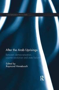 After the Arab Uprisings
