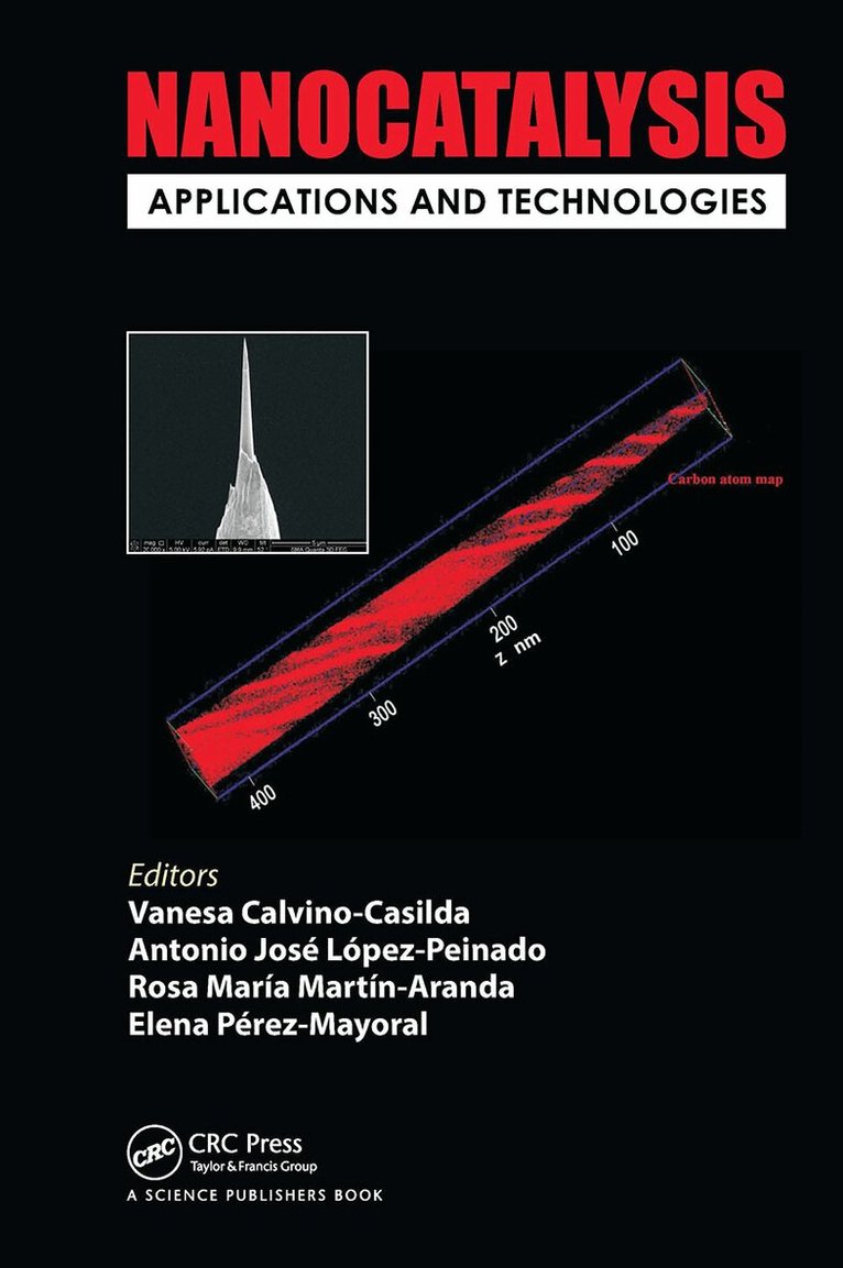 Vanesa Calvino-Casilda, Antonio José López-Peinado, Rosa María Martín-Aranda, Elena Pérez Mayoral - Nanocatalysis, Inbunden