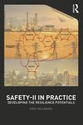 Safety-II in Practice