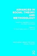 Advances in Social Theory and Methodology (RLE Social Theory)