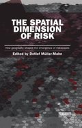 The Spatial Dimension of Risk