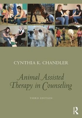Cynthia K. Chandler - Animal-Assisted Therapy in Counseling, Häftad. Tillgänglighet: Tillfälligt slut