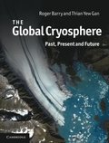 Global Cryosphere