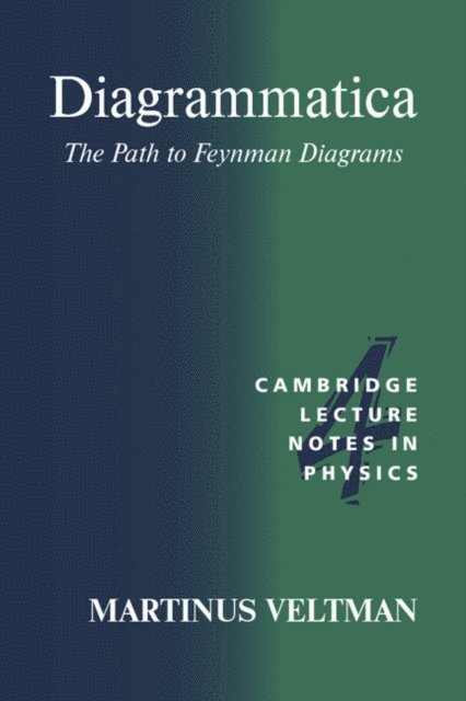 Martinus Veltman - Diagrammatica, E-bok