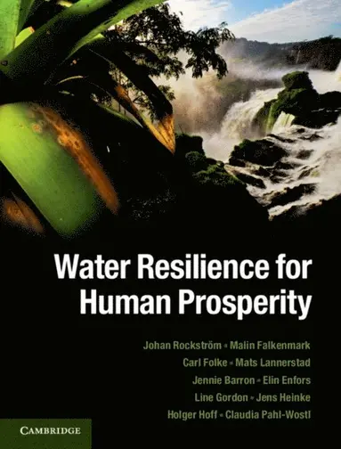 Claudia Pahl-Wostl, Holger Hoff, Jens Heinke, Line Gordon, Elin Enfors, Jennie Barron, Mats Lannerstad, Carl Folke, Malin Falkenmark, Johan Rockstrom - Water Resilience for Human Prosperity, E-bok