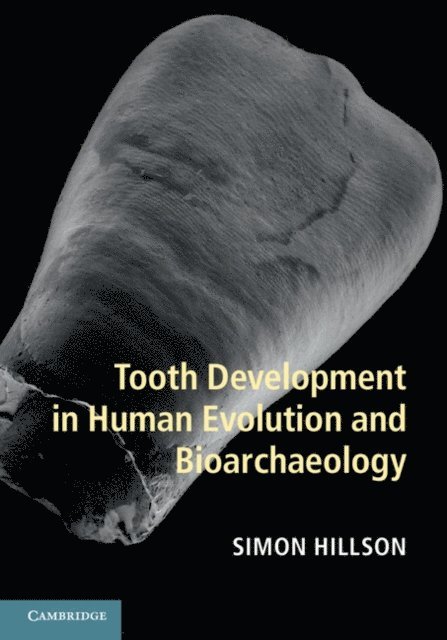 Simon Hillson - Tooth Development in Human Evolution and Bioarchaeology, E-bok