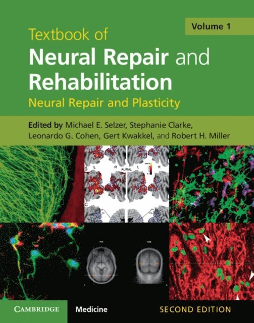 Robert Miller, Gert Kwakkel, Leonardo Cohen, Stephanie Clarke, Michael Selzer - Textbook of Neural Repair and Rehabilitation: Volume 1, Neural Repair and Plasticity, E-bok