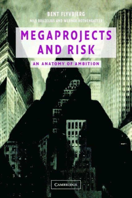 Werner Rothengatter, Nils Bruzelius, Bent Flyvbjerg - Megaprojects and Risk, E-bok