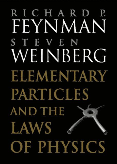 Steven Weinberg, Richard P. Feynman - Elementary Particles and the Laws of Physics, E-bok