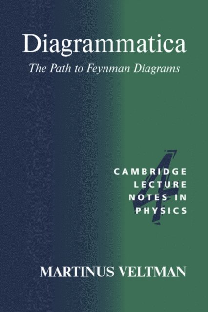 Martinus Veltman - Diagrammatica, E-bok