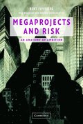 Megaprojects and Risk