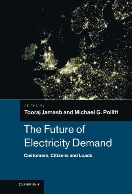 Michael G. Pollitt, Tooraj Jamasb - Future of Electricity Demand, E-bok